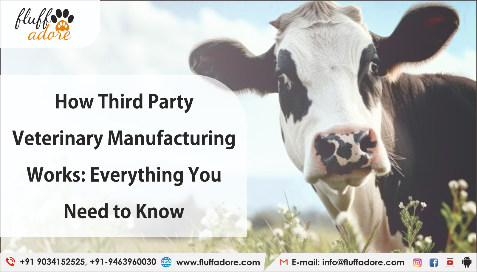 third party veterinary medicine manufacturer