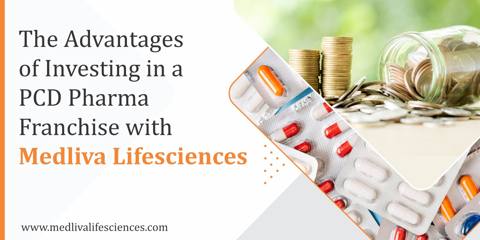 Pharma Franchise Distributor